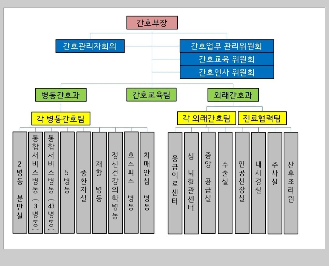 간호부조직도
